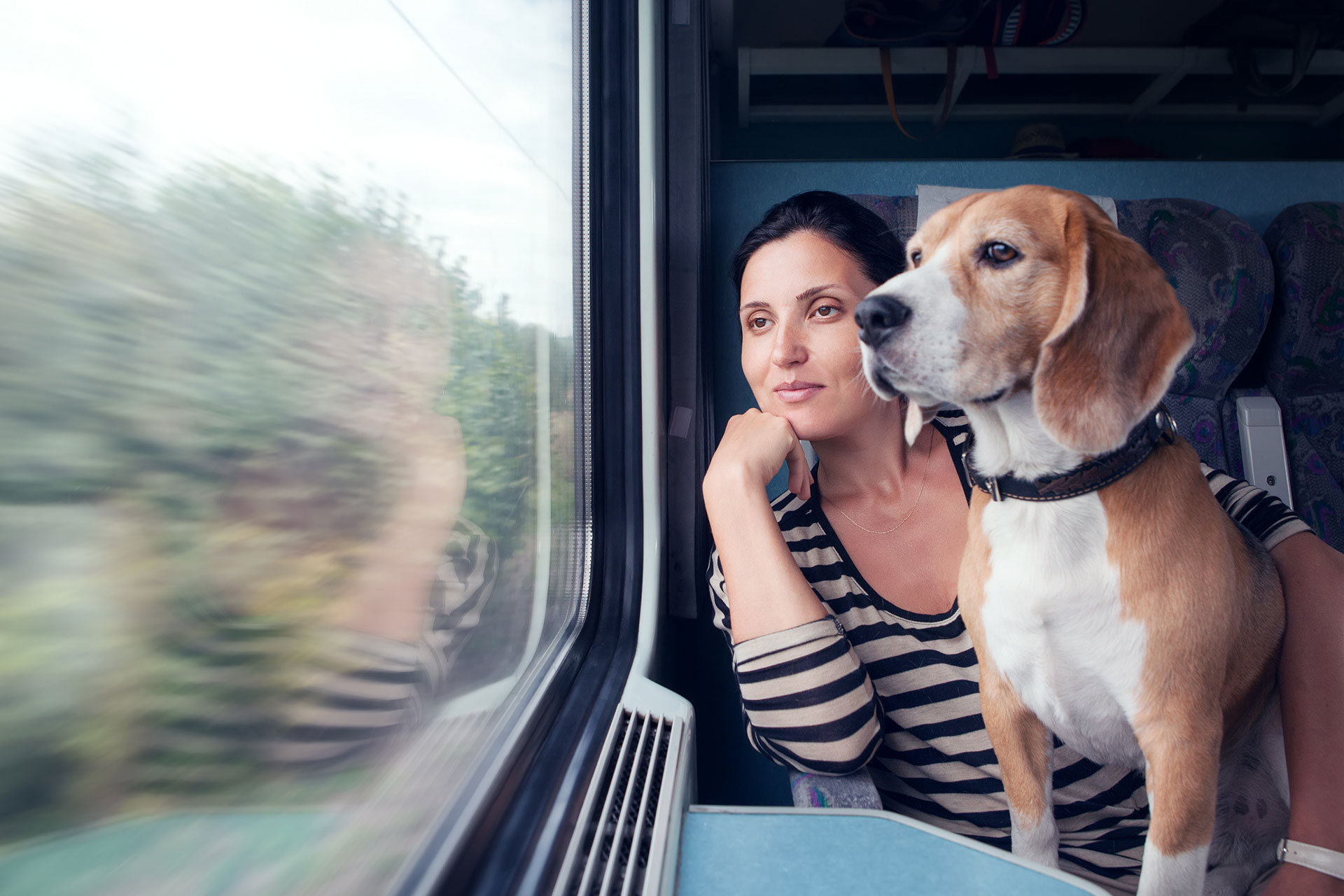 Se puede viajar en tren con perro